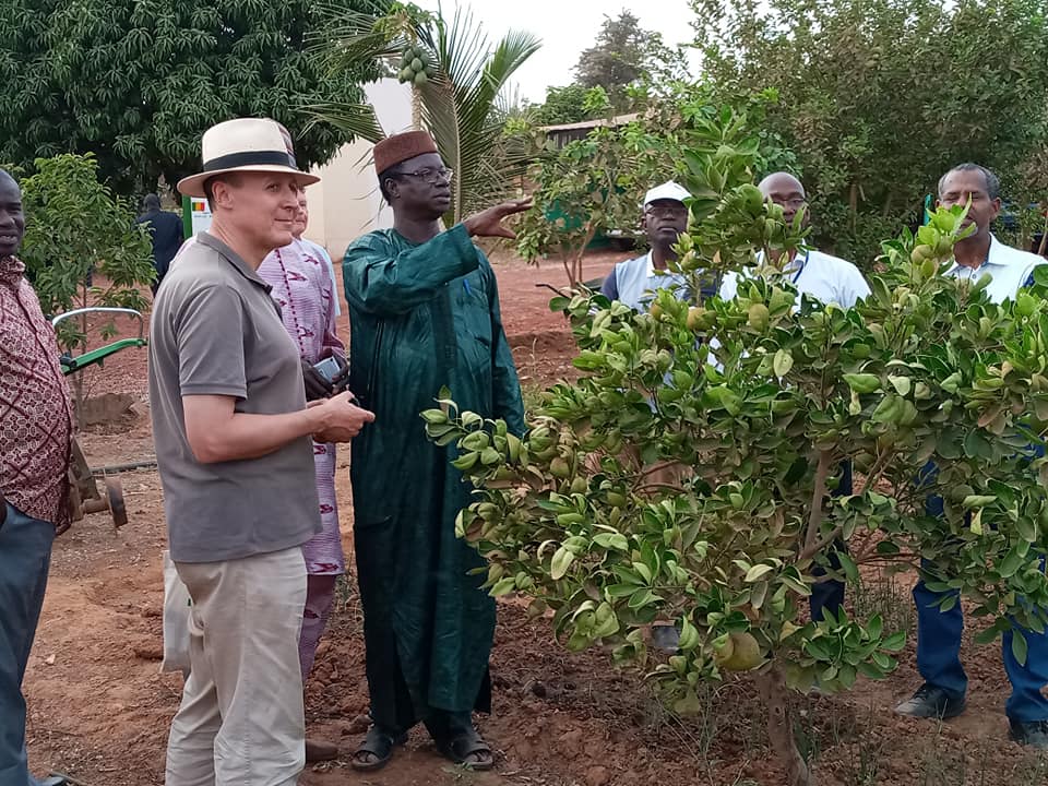 Parcelle de démonstration de nouvelles techniques